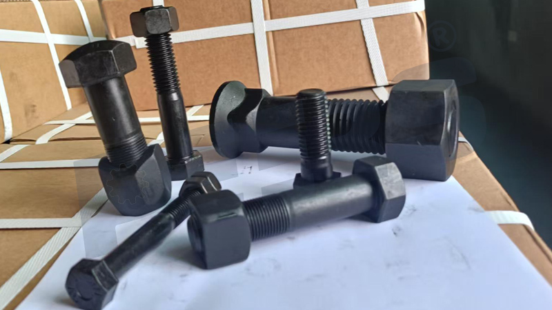 Track Bolt